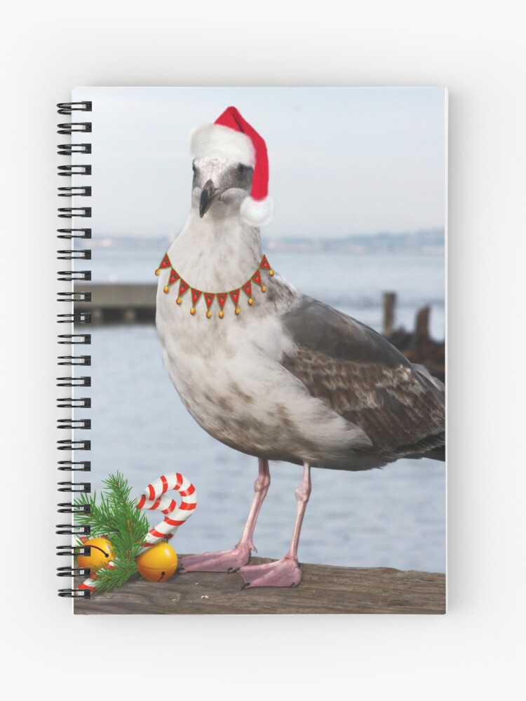 seagull with santa hat