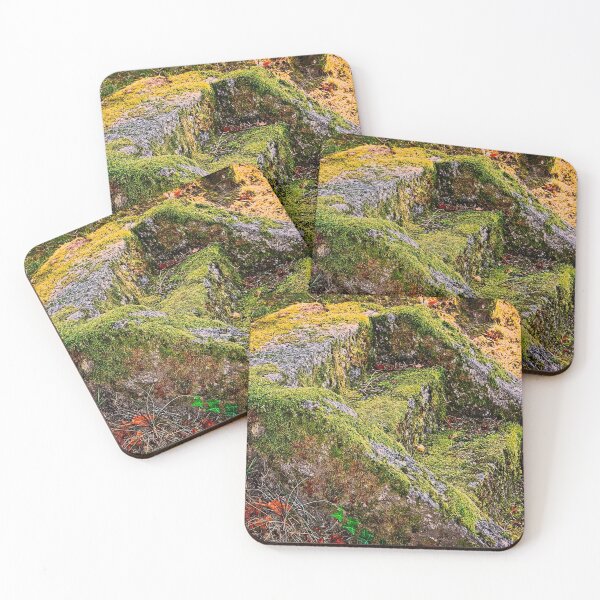 Item preview, Old and mossy steps designed and sold by Elzbieta Fazel.