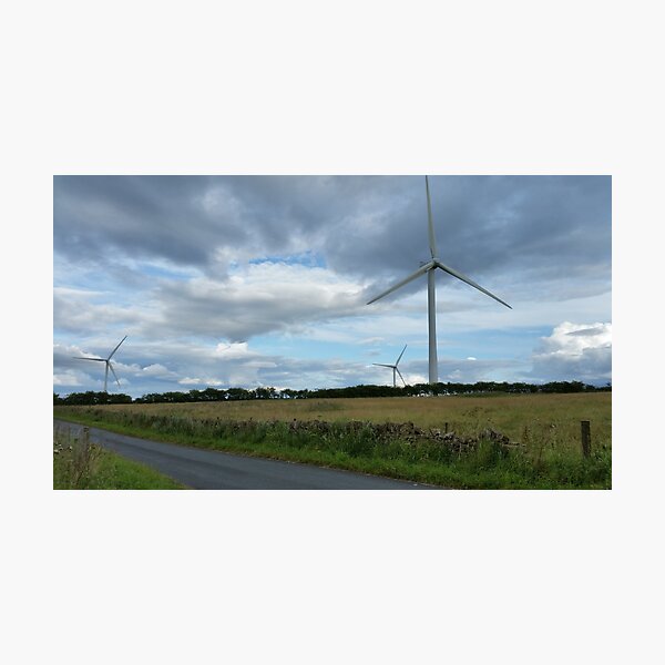Wind Turbines in a Field Photographic Print