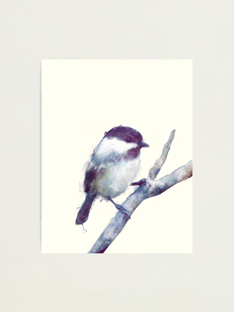 Alternate view of Bird // Trust Photographic Print