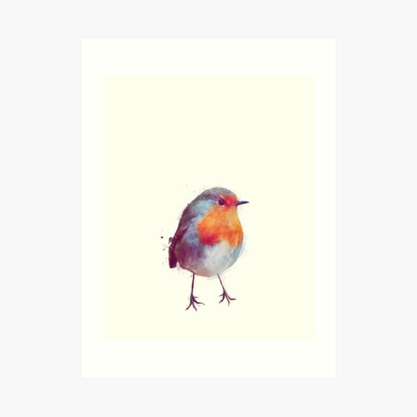 Winter Robin Art Print