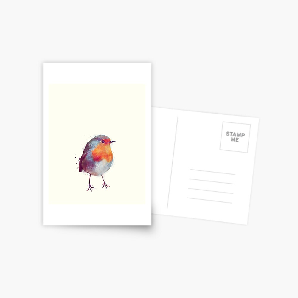 Winter Robin Postcard
