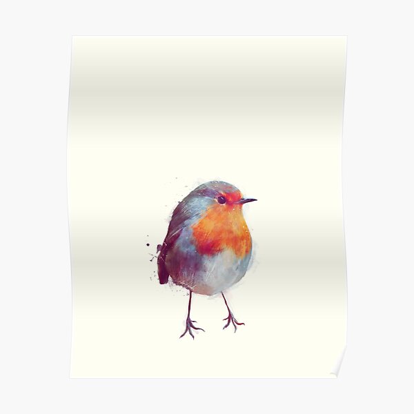 Winter Robin Poster