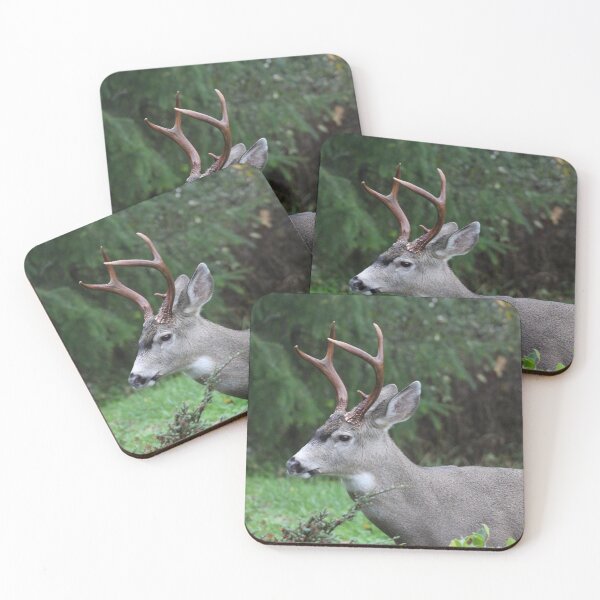 Item preview, Blacktail buck doing what comes naturally   designed and sold by RichImage.