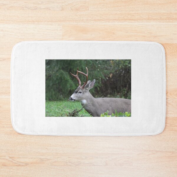 Item preview, Blacktail buck doing what comes naturally   designed and sold by RichImage.