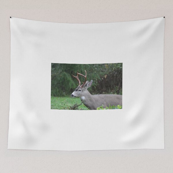 Item preview, Blacktail buck doing what comes naturally   designed and sold by RichImage.