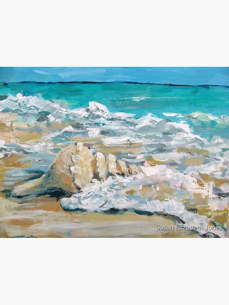 "Gulf Oyster Drill" Poster by Susan1964 Redbubble