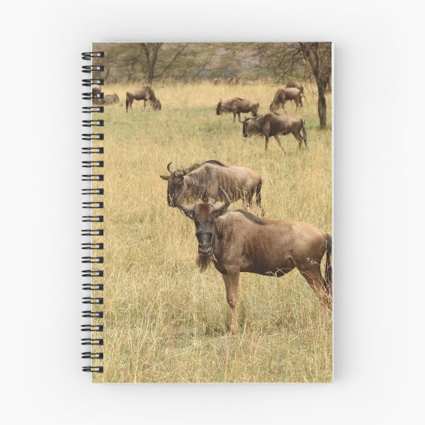 Artikelvorschau, Afrika, Tansania, Tiere, Gnus, Fotografie, BebiCervin entworfen und verkauft von BebiCervin.