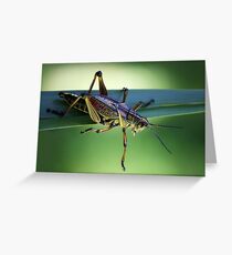 Grass Hopper Greeting Card