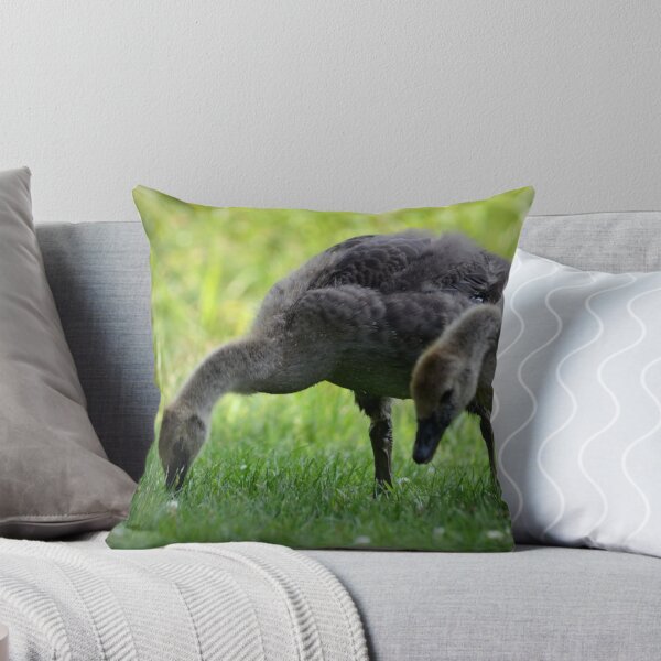 Item preview, Goslings designed and sold by PatSeg Photos.