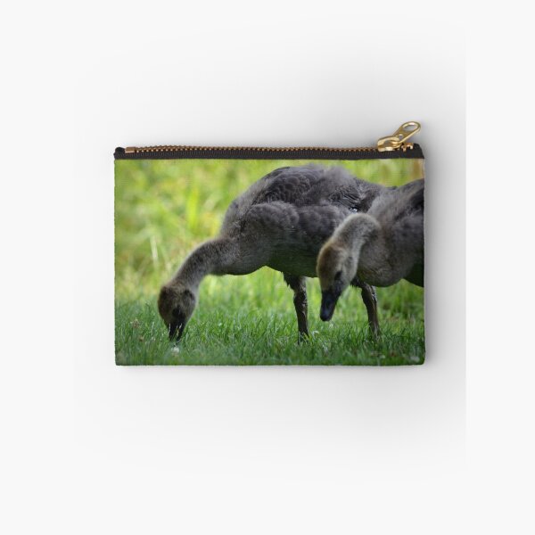 Item preview, Goslings designed and sold by PatSeg Photos.
