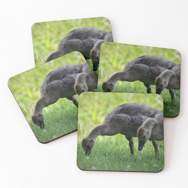 Item preview, Goslings designed and sold by PatSeg Photos.
