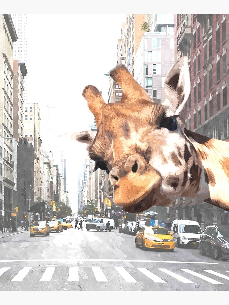 Selfie Giraffe in New York by Alemi