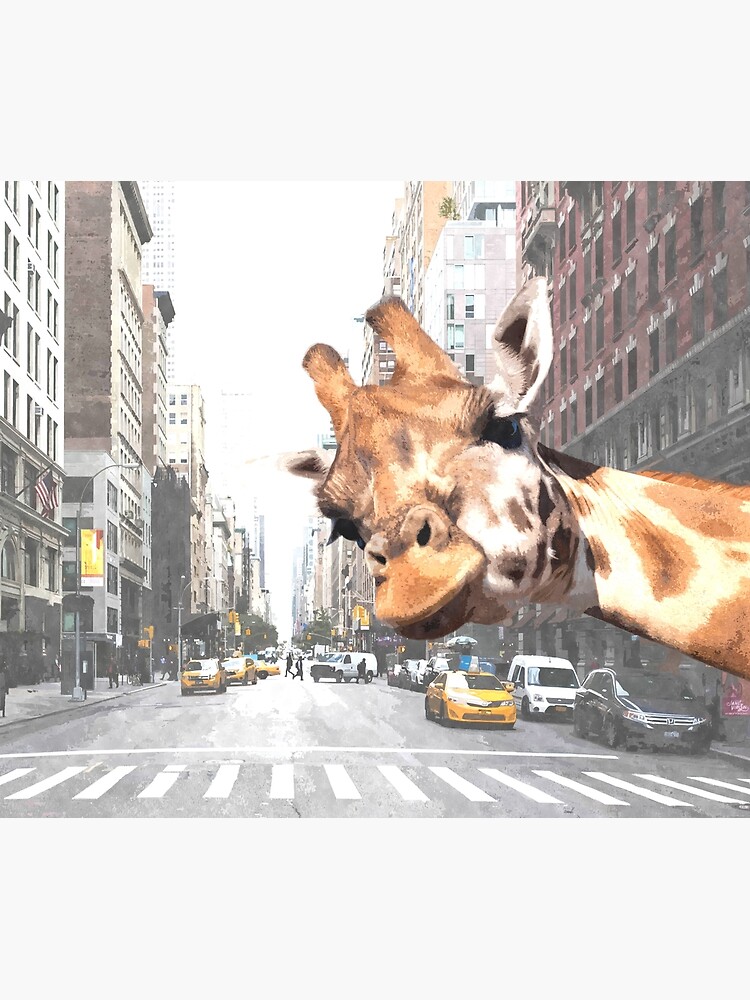 Selfie Giraffe in New York by Alemi