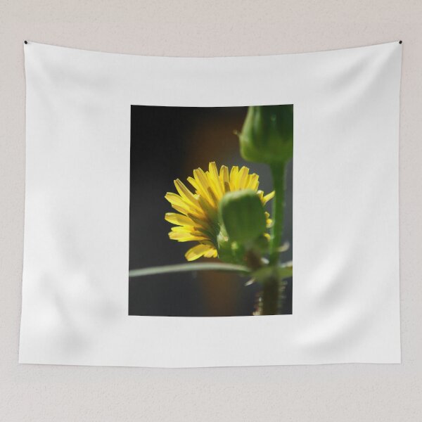 Item preview, ©NS Face The Sun IIIA. designed and sold by OmarHernandez.