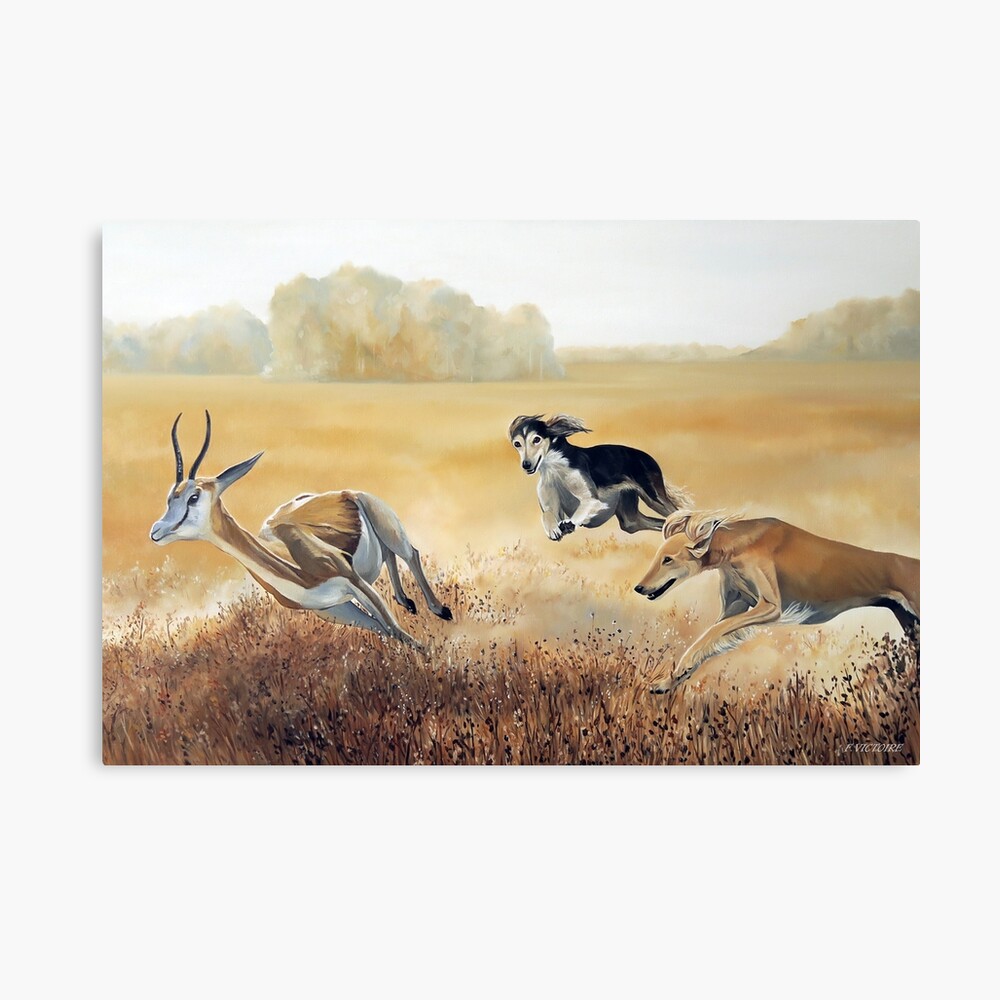 Greyhound Hunting Impala Saluki Chasing A Gazelle Canvas Print