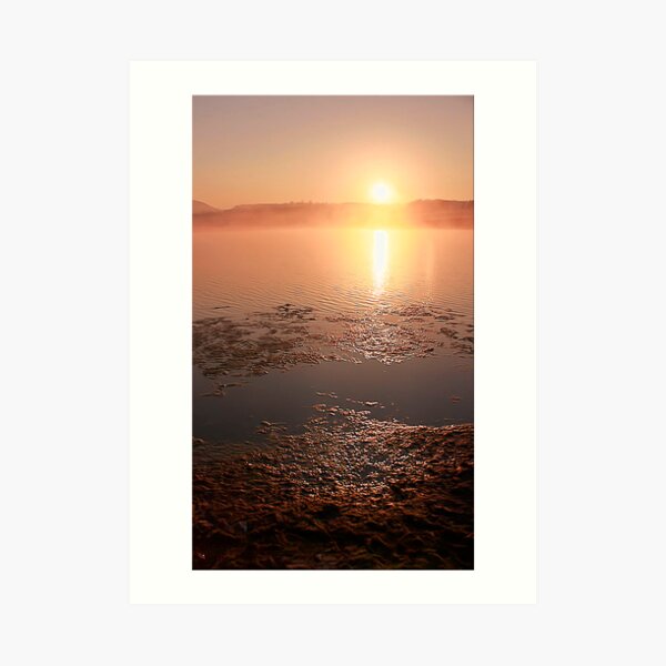 Golden Sunrise Art Print