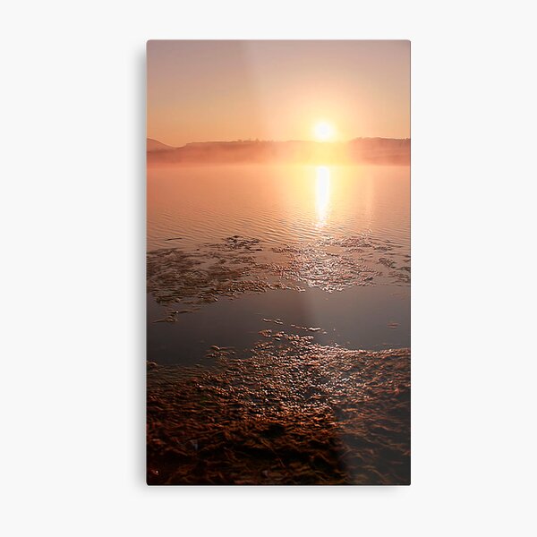 Golden Sunrise Metal Print