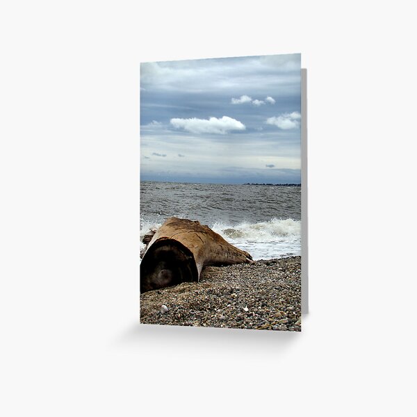 Item preview, Drifted from the Storm designed and sold by Carrie Driscoll.