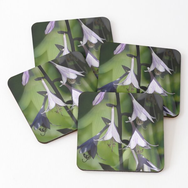 Item preview, Spring Flowers designed and sold by PatSeg Photos.