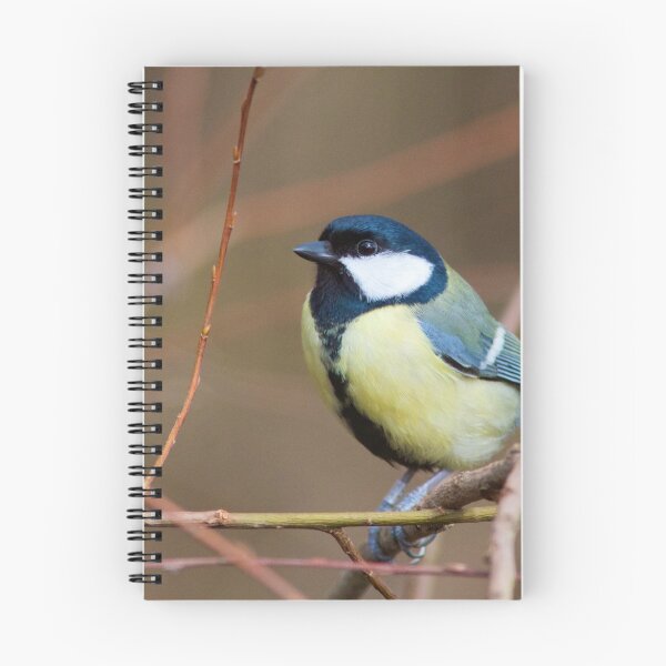 Item preview, Great Tit (Parus Major) Perched in Woodland designed and sold by Rob Cole Photography.