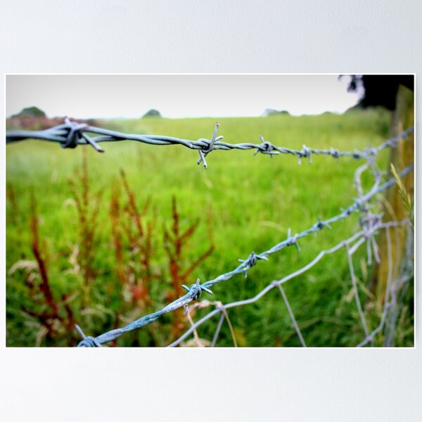 Artikelvorschau, Wired Off entworfen und verkauft von Photographgirl8.