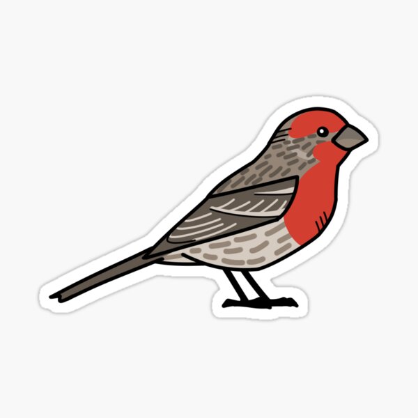 Item preview, House Finch (male) designed and sold by KeesKiwi.