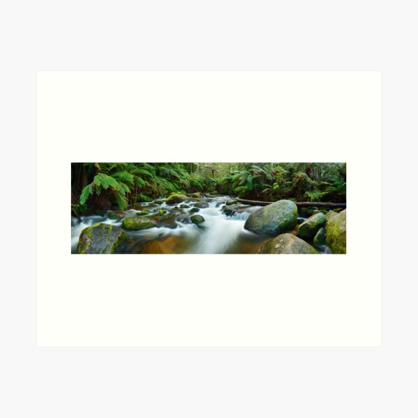 Item preview, Toorongo River, Gippsland, Victoria, Australia designed and sold by Michael Boniwell.