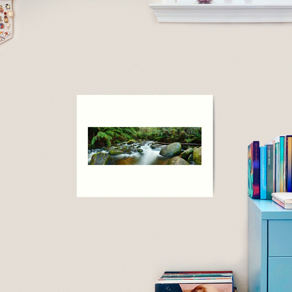 Toorongo River, Gippsland, Victoria, Australia Art Print