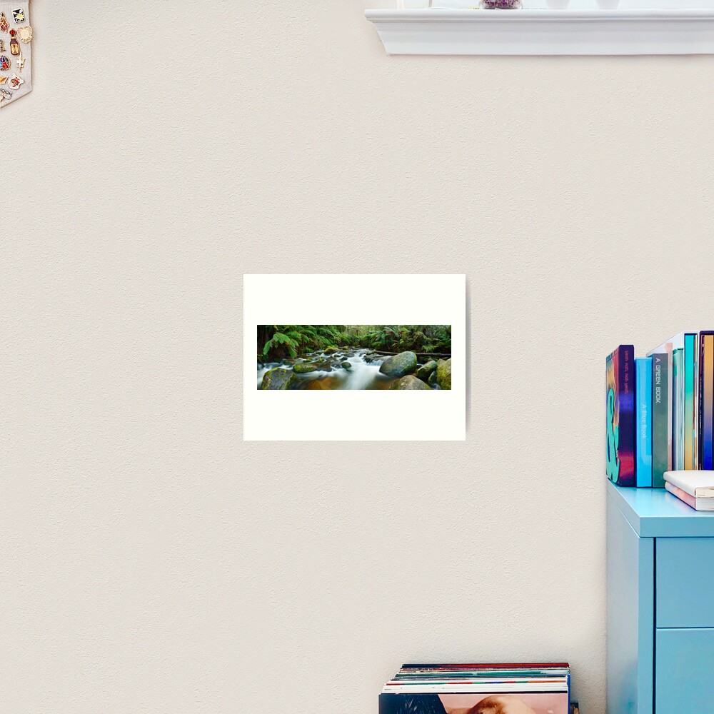 Toorongo River, Gippsland, Victoria, Australia Art Print