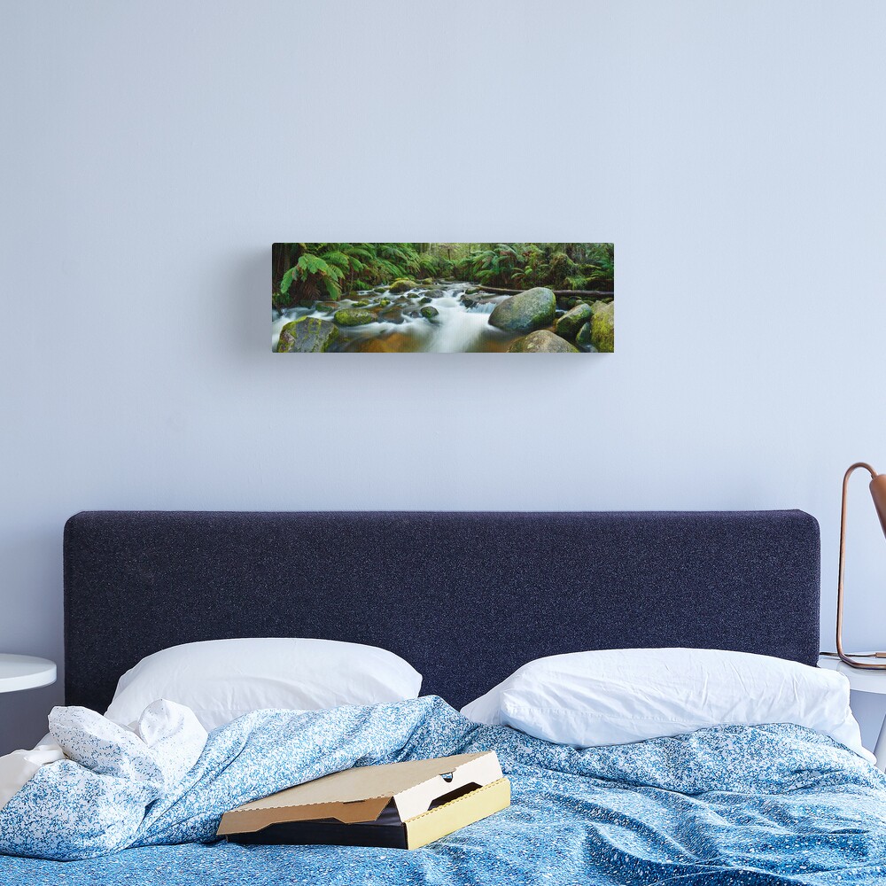 Toorongo River, Gippsland, Victoria, Australia Canvas Print
