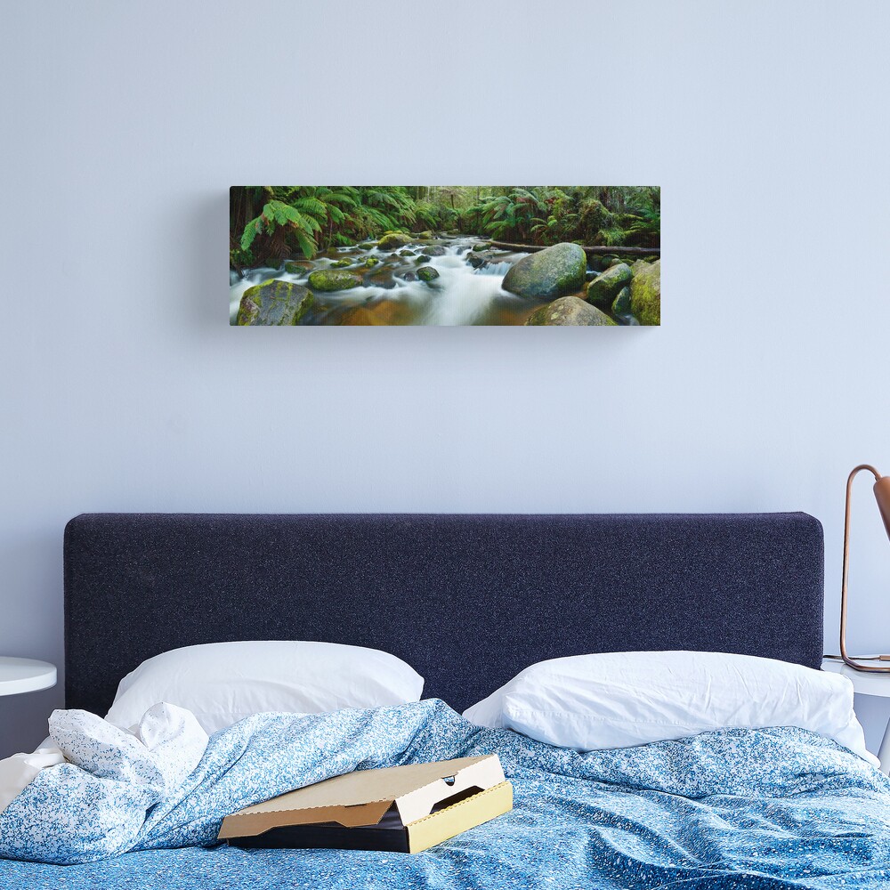 Toorongo River, Gippsland, Victoria, Australia Canvas Print