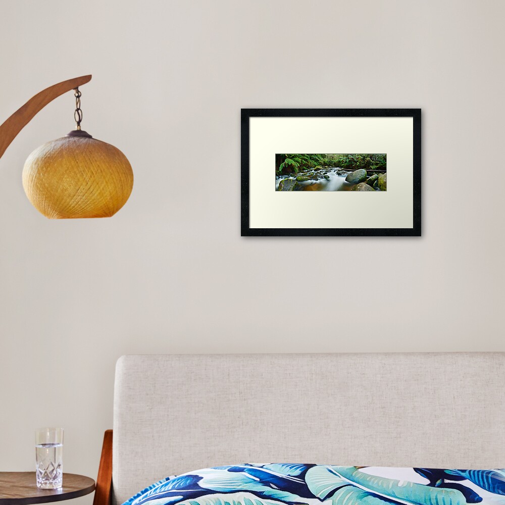 Toorongo River, Gippsland, Victoria, Australia Framed Art Print