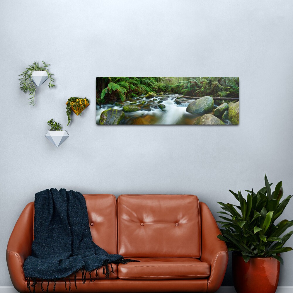 Toorongo River, Gippsland, Victoria, Australia Metal Print