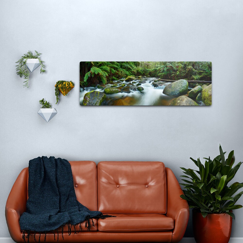 Toorongo River, Gippsland, Victoria, Australia Metal Print