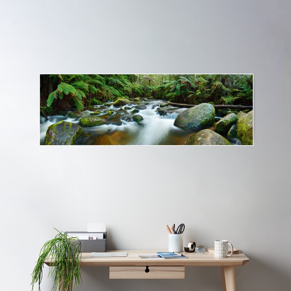 Toorongo River, Gippsland, Victoria, Australia Poster