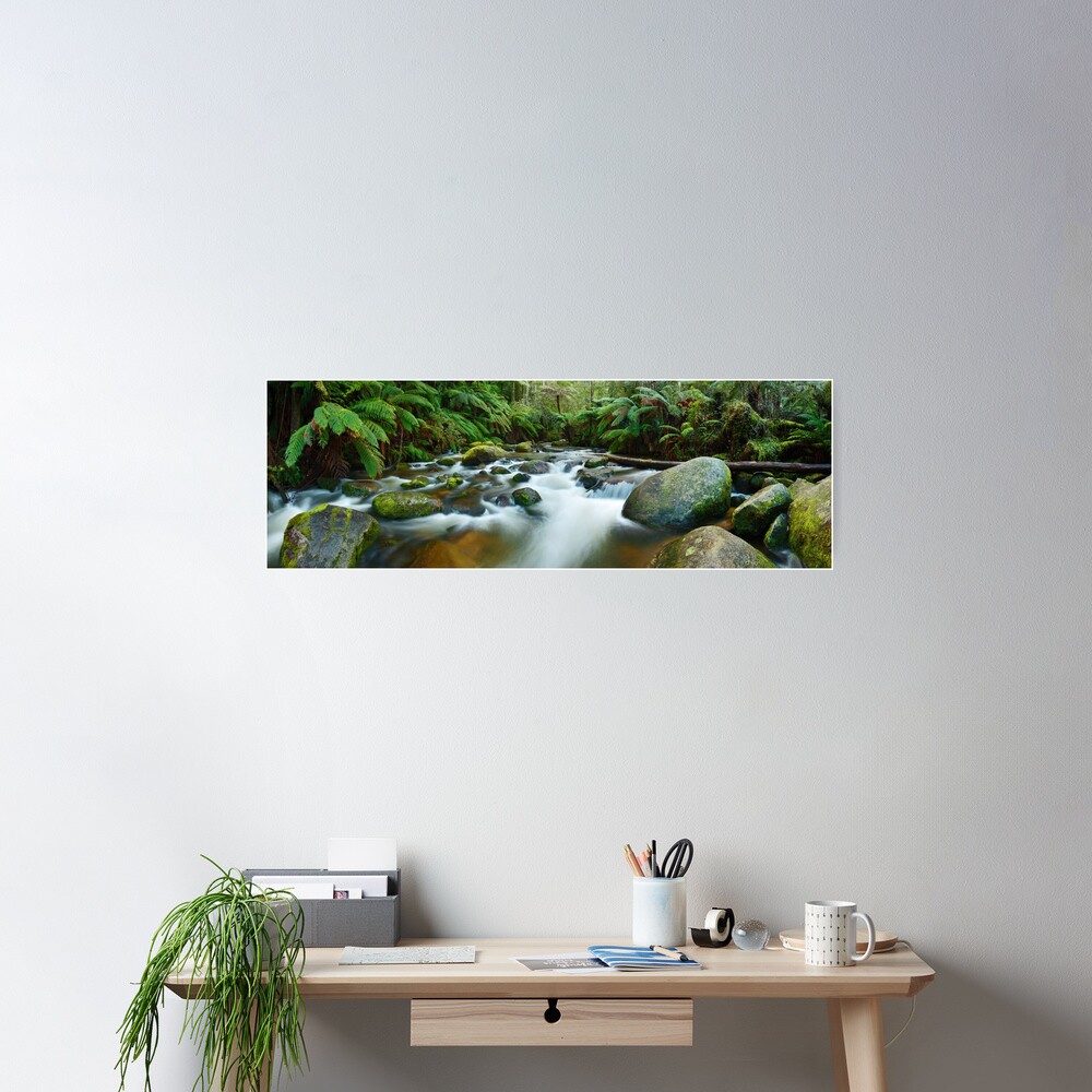 Toorongo River, Gippsland, Victoria, Australia Poster