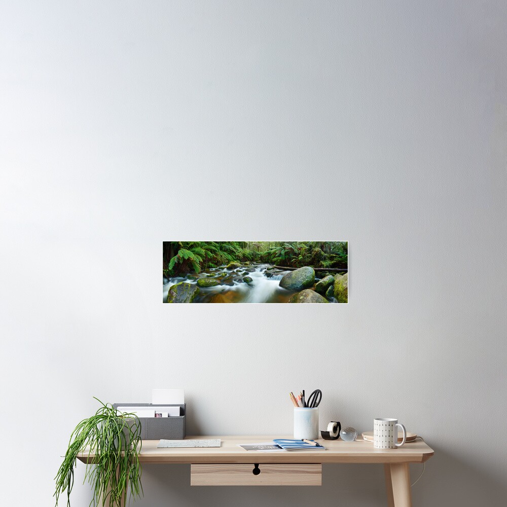 Toorongo River, Gippsland, Victoria, Australia Poster