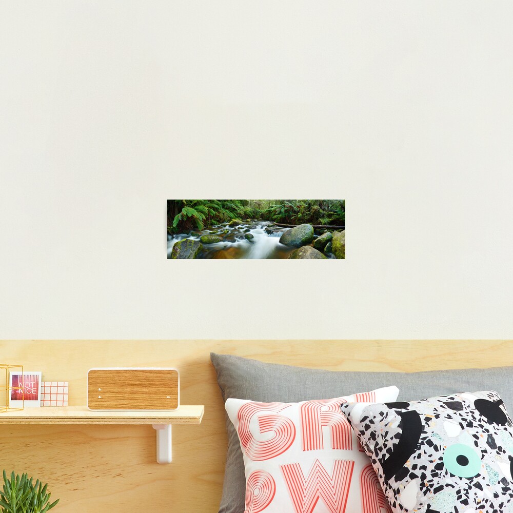 Toorongo River, Gippsland, Victoria, Australia Photographic Print