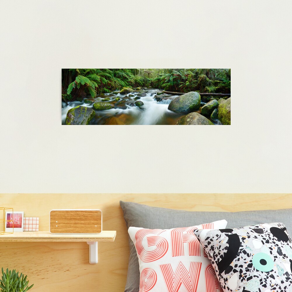 Toorongo River, Gippsland, Victoria, Australia Photographic Print