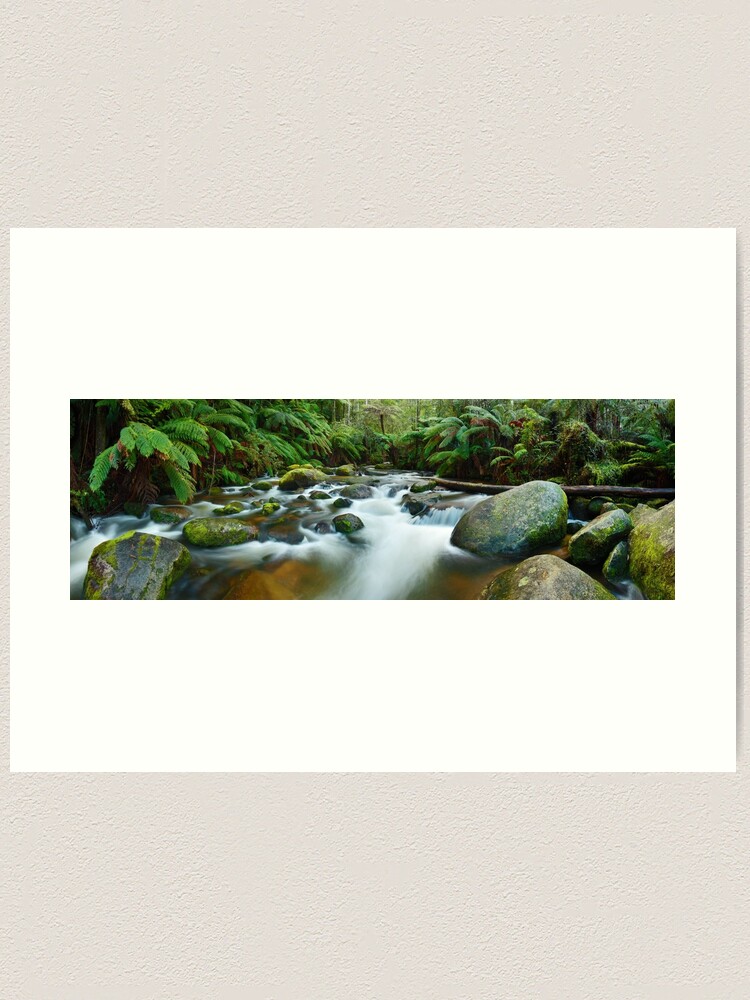 Alternate view of Toorongo River, Gippsland, Victoria, Australia Art Print