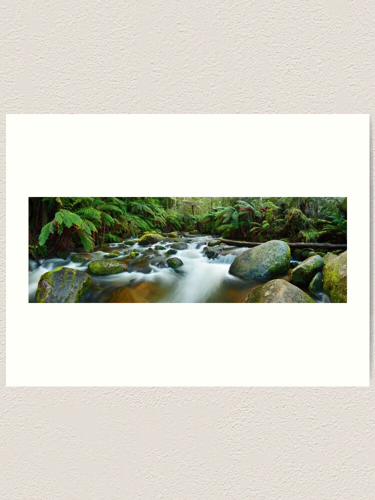 Alternate view of Toorongo River, Gippsland, Victoria, Australia Art Print