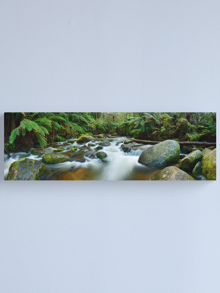 Alternate view of Toorongo River, Gippsland, Victoria, Australia Canvas Print
