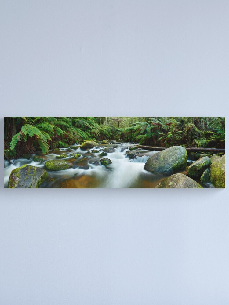 Alternate view of Toorongo River, Gippsland, Victoria, Australia Canvas Print