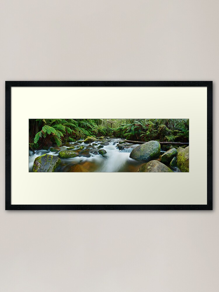 Alternate view of Toorongo River, Gippsland, Victoria, Australia Framed Art Print