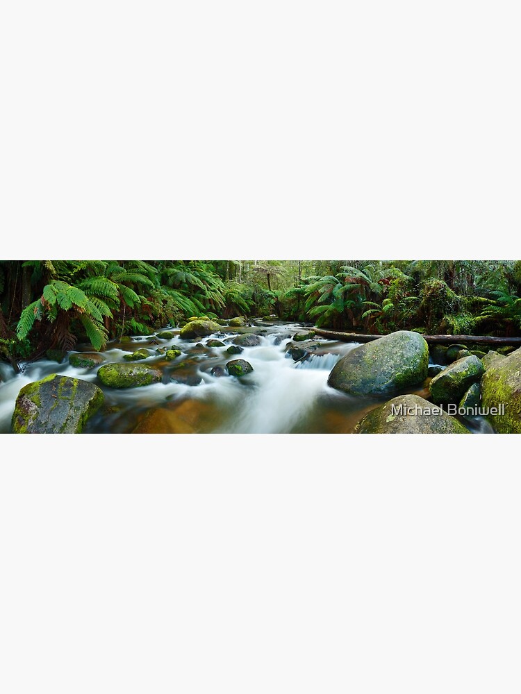Toorongo River, Gippsland, Victoria, Australia by Chockstone