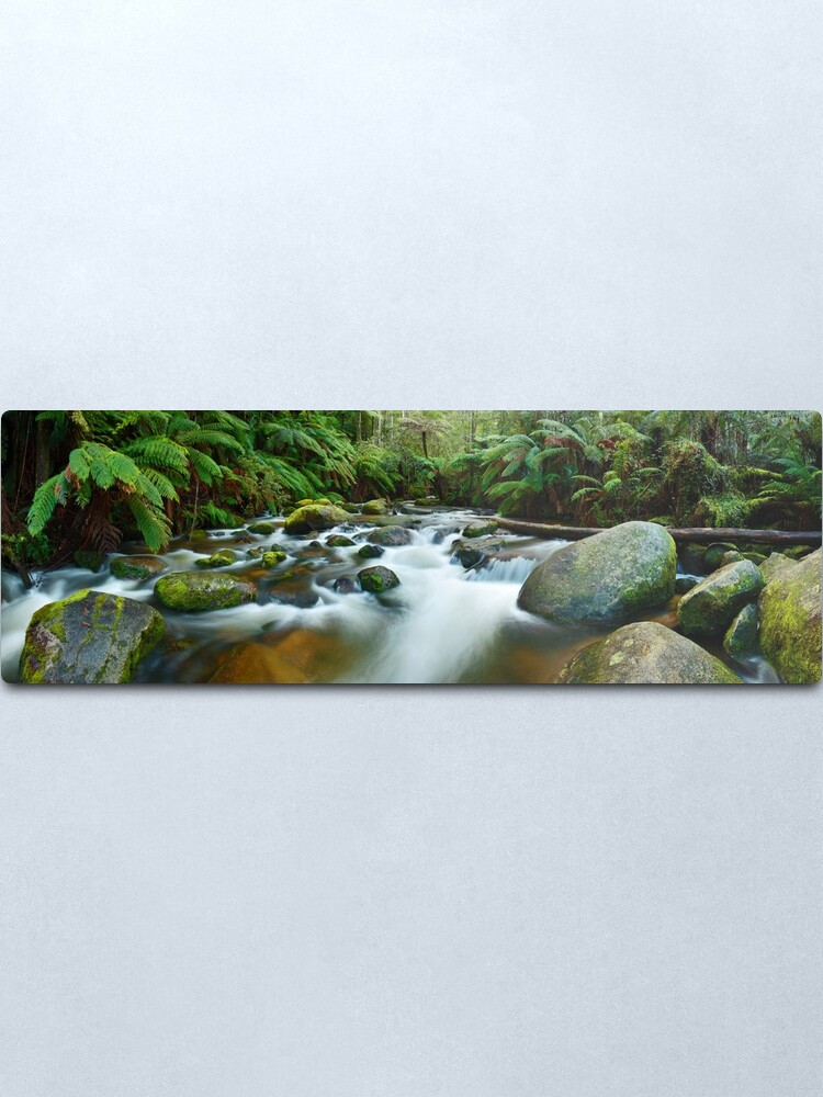 Alternate view of Toorongo River, Gippsland, Victoria, Australia Metal Print