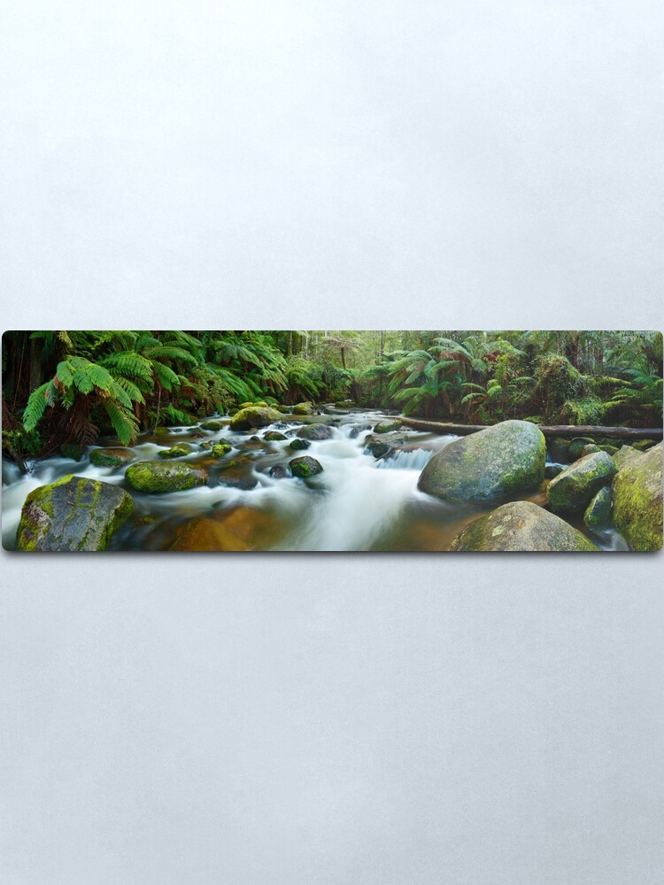 Alternate view of Toorongo River, Gippsland, Victoria, Australia Metal Print