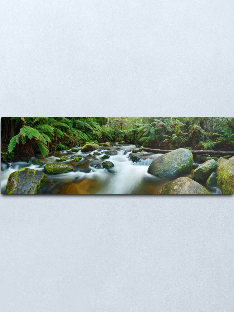 Alternate view of Toorongo River, Gippsland, Victoria, Australia Metal Print