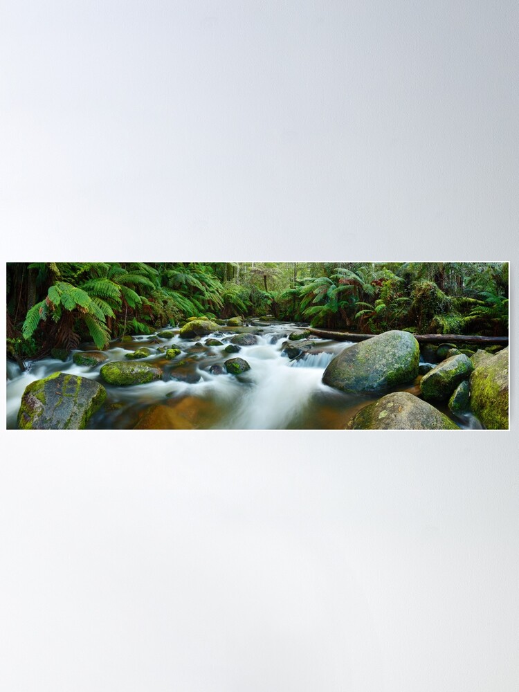 Alternate view of Toorongo River, Gippsland, Victoria, Australia Poster
